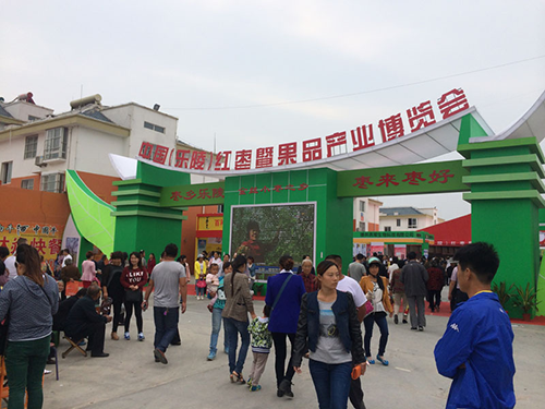 精品乱码久久久久久中文字幕