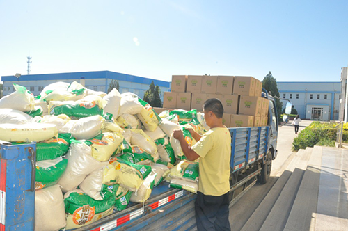 精品乱码久久久久久中文字幕