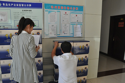 精品乱码久久久久久中文字幕