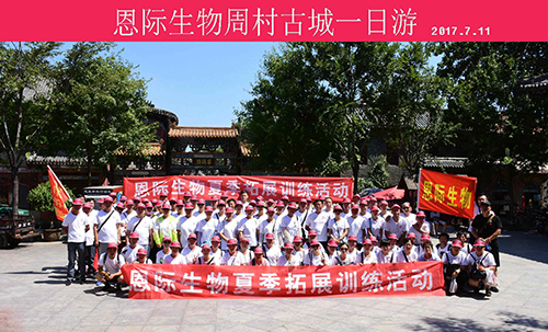 精品乱码久久久久久中文字幕