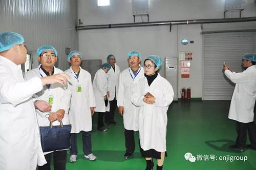 精品乱码久久久久久中文字幕