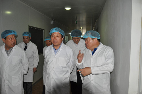 精品乱码久久久久久中文字幕