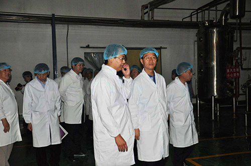 精品乱码久久久久久中文字幕