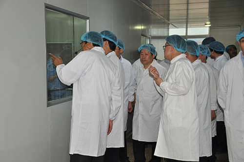 精品乱码久久久久久中文字幕