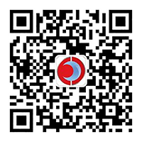 精品乱码久久久久久中文字幕