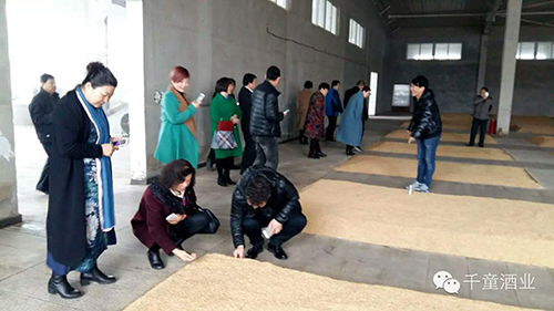 精品乱码久久久久久中文字幕