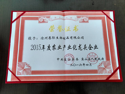 精品乱码久久久久久中文字幕