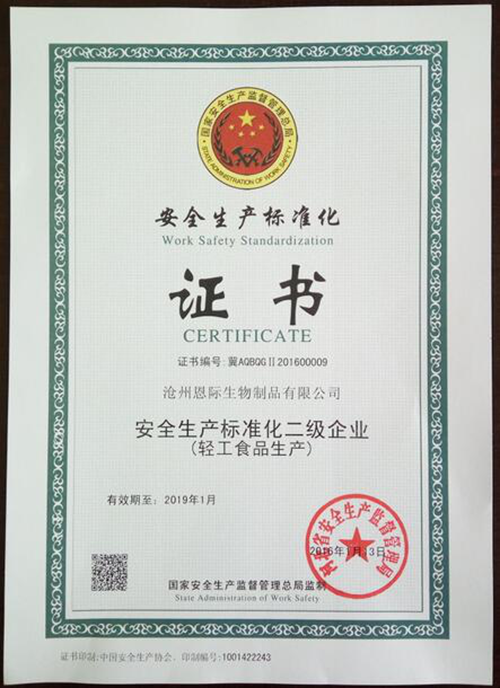 精品乱码久久久久久中文字幕