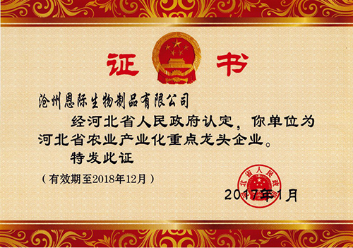 精品乱码久久久久久中文字幕