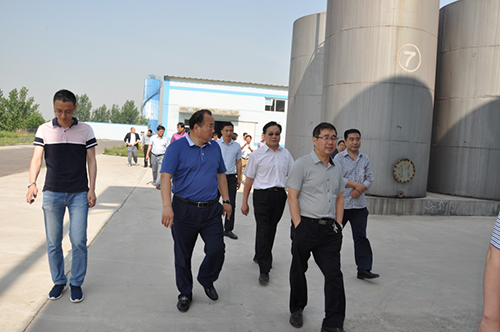 精品乱码久久久久久中文字幕