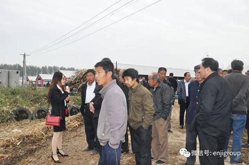 精品乱码久久久久久中文字幕