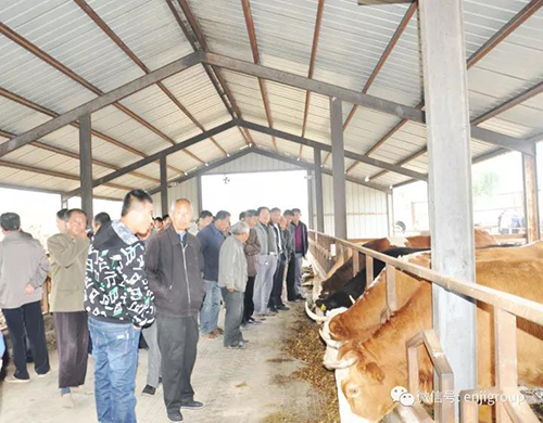 精品乱码久久久久久中文字幕