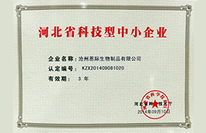 精品乱码久久久久久中文字幕