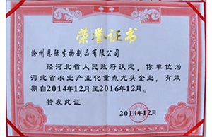 精品乱码久久久久久中文字幕