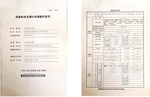 精品乱码久久久久久中文字幕