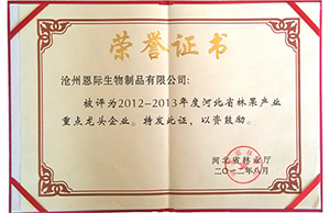 精品乱码久久久久久中文字幕