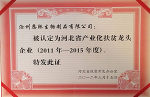 精品乱码久久久久久中文字幕