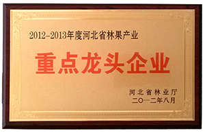 精品乱码久久久久久中文字幕