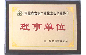 精品乱码久久久久久中文字幕