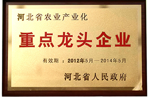 精品乱码久久久久久中文字幕