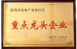 精品乱码久久久久久中文字幕