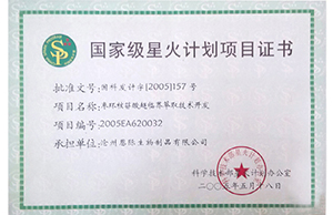 精品乱码久久久久久中文字幕