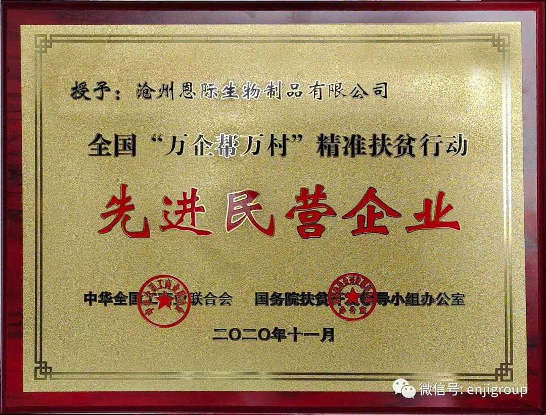 精品乱码久久久久久中文字幕