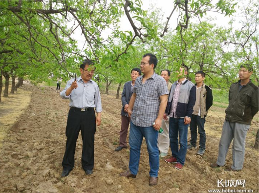 精品乱码久久久久久中文字幕