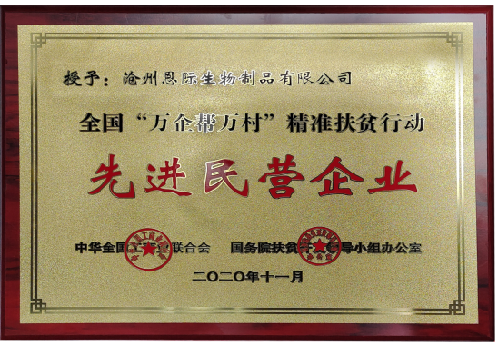 精品乱码久久久久久中文字幕