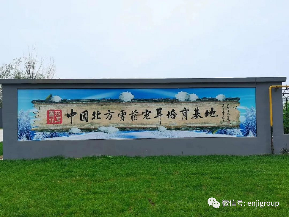 精品乱码久久久久久中文字幕