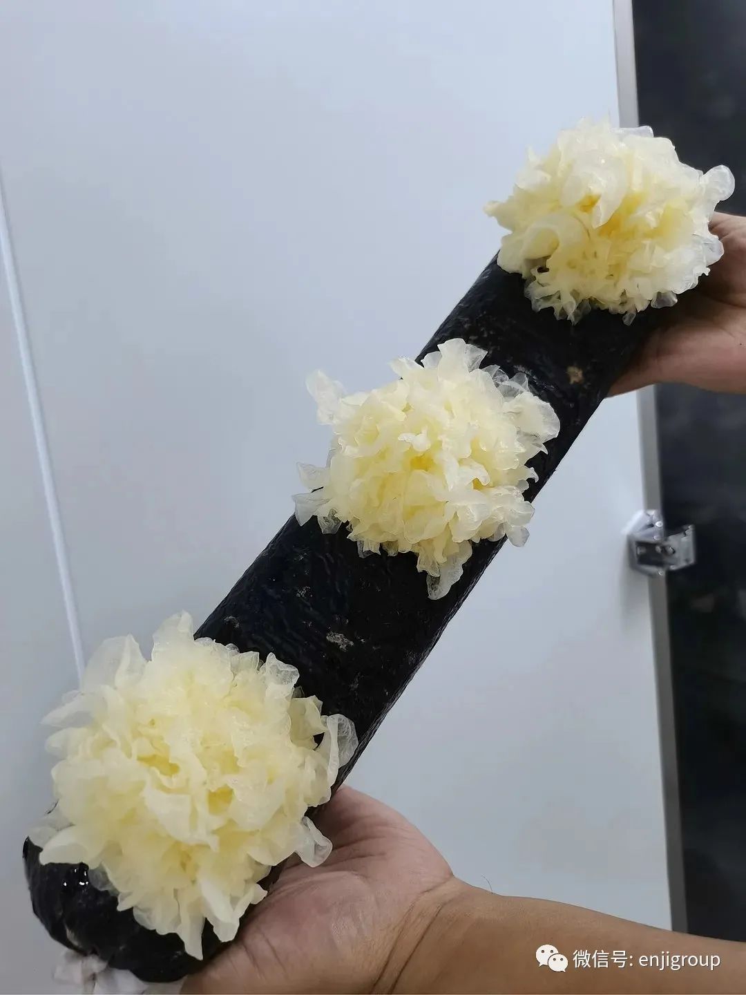 精品乱码久久久久久中文字幕