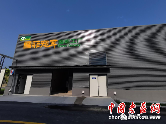 精品乱码久久久久久中文字幕