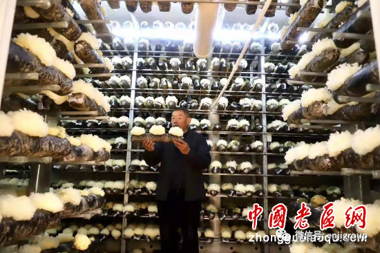 精品乱码久久久久久中文字幕