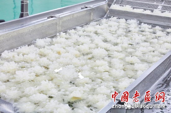 精品乱码久久久久久中文字幕