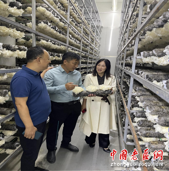 精品乱码久久久久久中文字幕