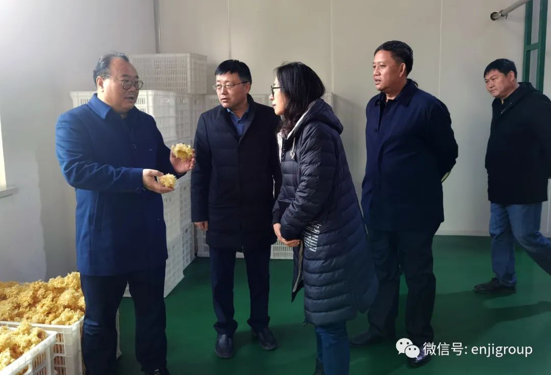 精品乱码久久久久久中文字幕