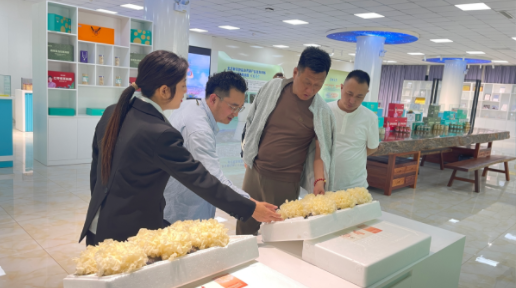 精品乱码久久久久久中文字幕