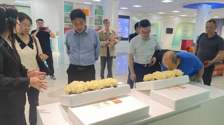 精品乱码久久久久久中文字幕