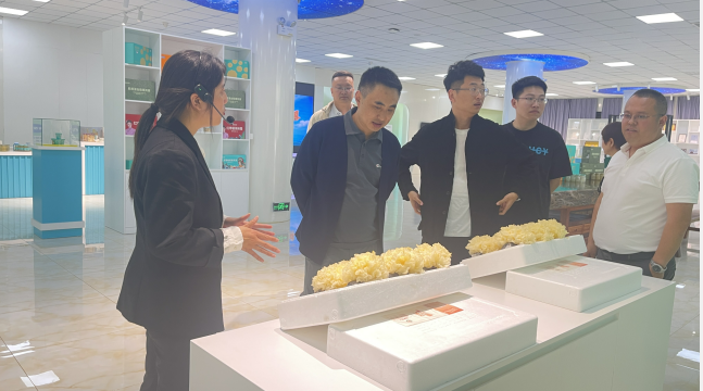 精品乱码久久久久久中文字幕