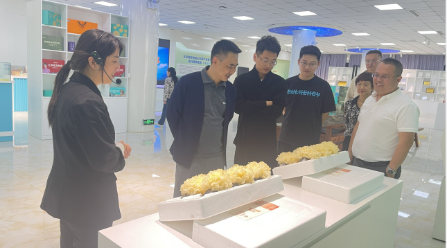 精品乱码久久久久久中文字幕